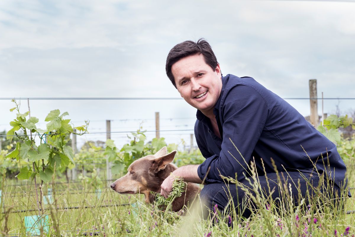 Director of wine making with dog